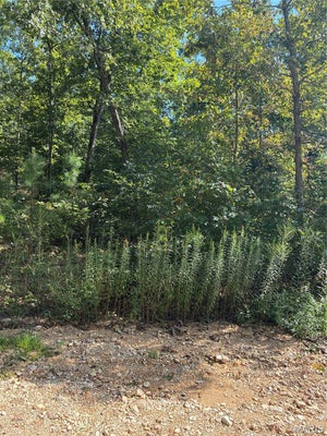 ADDRESS PRIVATE, ELLINGTON, MO 63638 - Image 9126c33cbd898622e8a40b8dbccfdecc/2076655800
