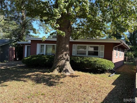 Photo of 4004 Engler Avenue, St Louis, MO 63114 (MLS # 25070040)