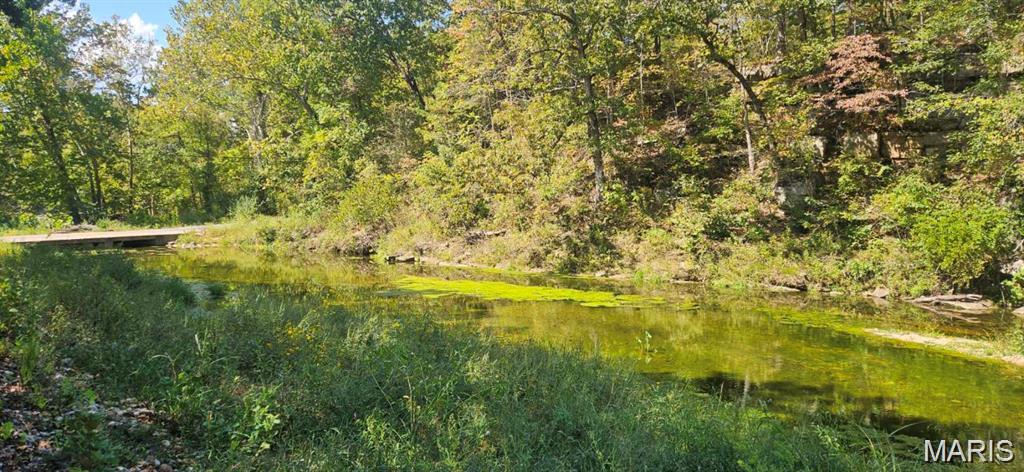 Photo of 0 Brushy Creek Road, Houston, MO 65483 (MLS # 26068034)