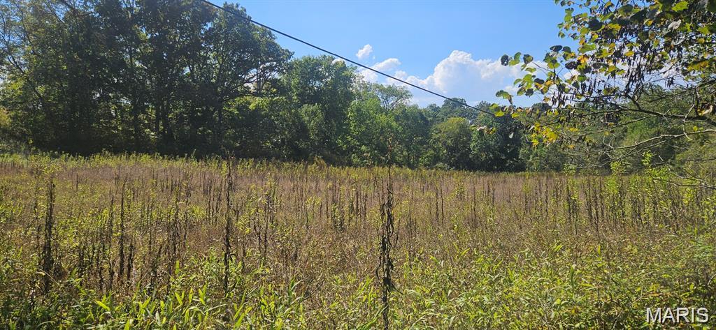 Photo of 0 Brushy Creek Road, Houston, MO 65483 (MLS # 26068034)