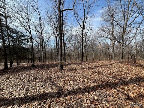 Tiny photo for 0 Deer Run Road, Elsberry, MO 63343 (MLS # 26013675)