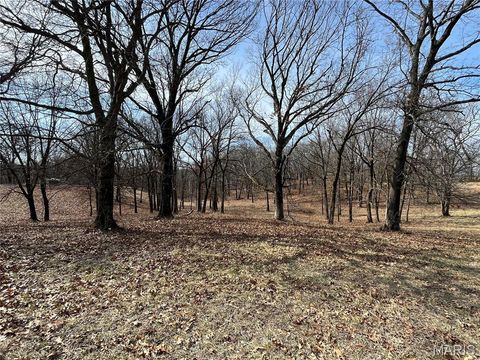 Tiny photo for 0 Deer Run Road, Elsberry, MO 63343 (MLS # 26013675)