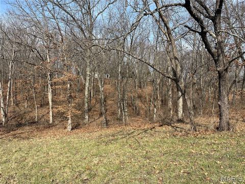 Tiny photo for 0 Deer Run Road, Elsberry, MO 63343 (MLS # 26013675)