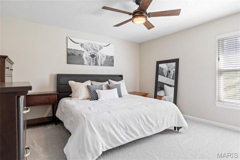 Tiny photo for 206 Wenona Drive, Washington, MO 63090 (MLS # 26018654)