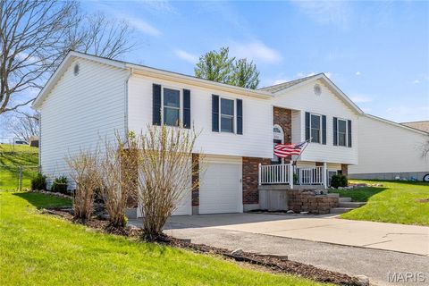 Tiny photo for 206 Wenona Drive, Washington, MO 63090 (MLS # 26018654)