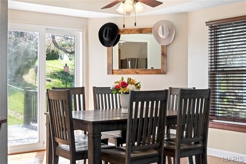 Tiny photo for 206 Wenona Drive, Washington, MO 63090 (MLS # 26018654)