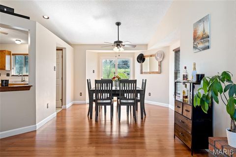 Tiny photo for 206 Wenona Drive, Washington, MO 63090 (MLS # 26018654)