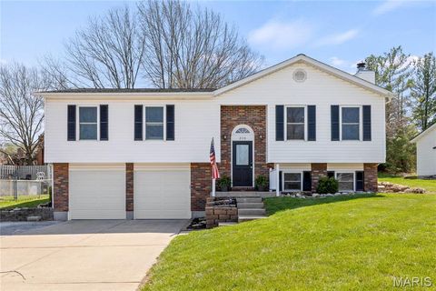 Photo of 206 Wenona Drive, Washington, MO 63090 (MLS # 26018654)