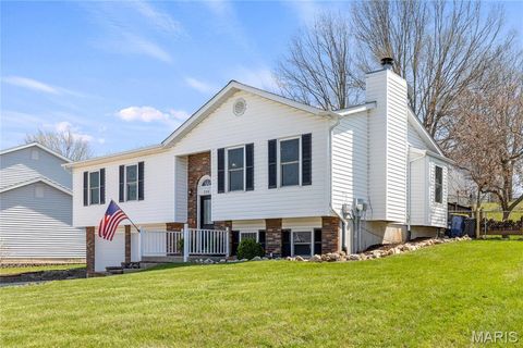 Tiny photo for 206 Wenona Drive, Washington, MO 63090 (MLS # 26018654)