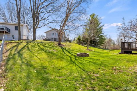 Tiny photo for 206 Wenona Drive, Washington, MO 63090 (MLS # 26018654)