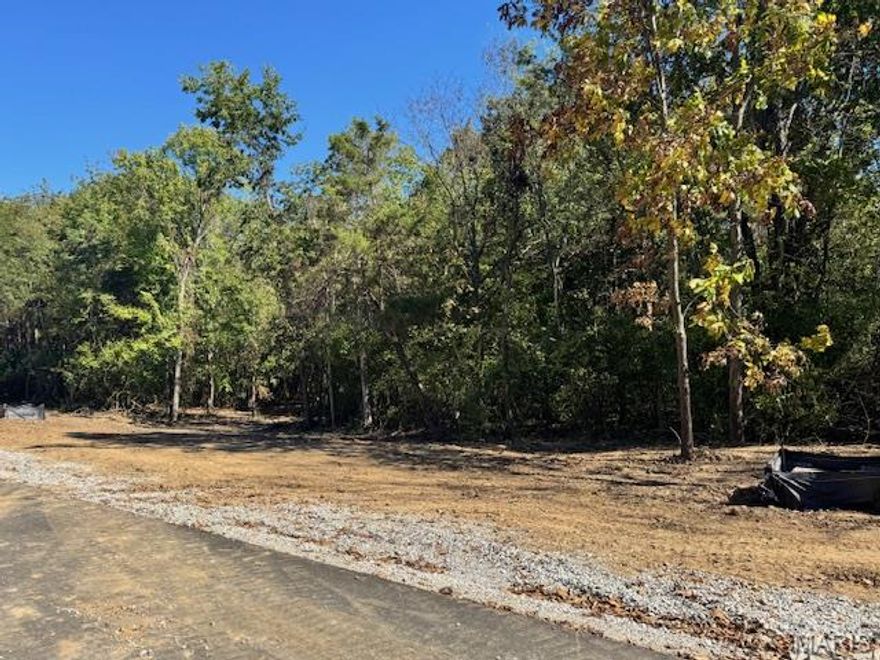 New price on this beautiful building lot offers a peaceful, private setting on a quiet cul-de-sac road. Surrounded by mature trees and gentle natural scenery, it’s an ideal spot for those who value quiet living with the convenience of nearby amenities.
All utilities are already in place — including high-speed fiber internet, public water, sewer, electricity, and natural gas — so you can focus on building the home you’ve been dreaming of. The asphalted roads make access easy year-round, and the cul-de-sac location provides extra privacy and safety, with very little traffic.
Located just minutes from schools, shopping, and the interstate, this property offers the best of both worlds: a calm, secluded environment that’s still close to everything you need for daily living.