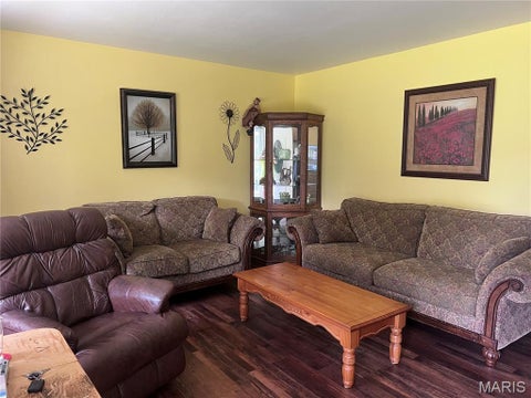 Tiny photo for 4 Laura Lane, Festus, MO 63028 (MLS # 26058684)