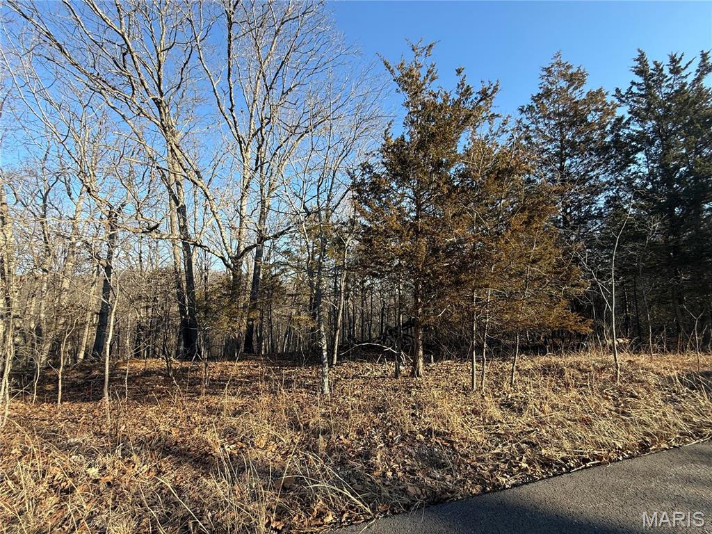 0 Lot 24 Timber Ridge
