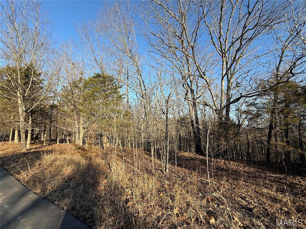 0 Lot 24 Timber Ridge