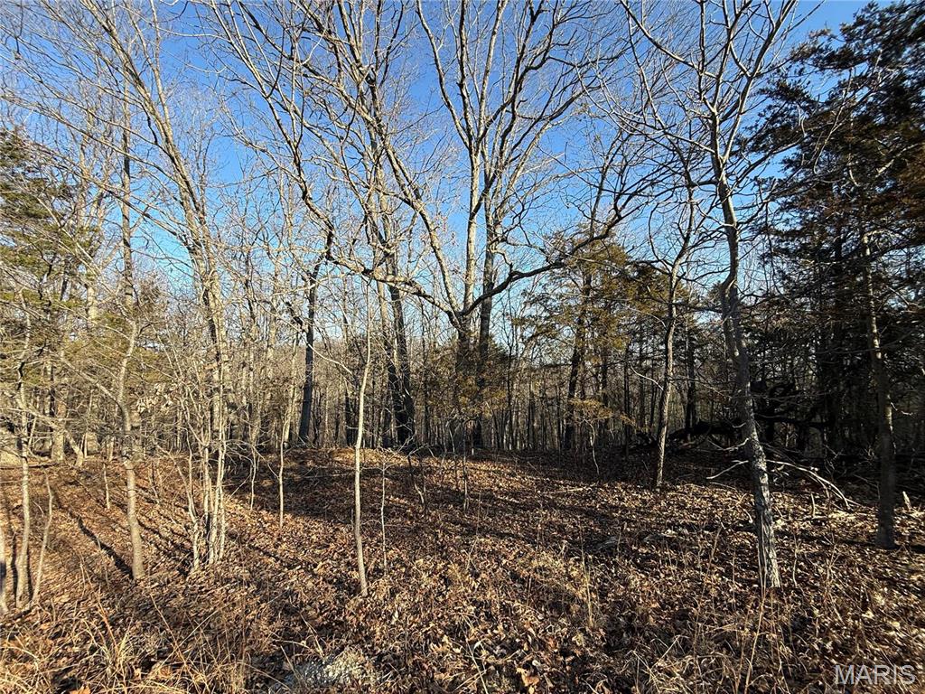 0 Lot 24 Timber Ridge