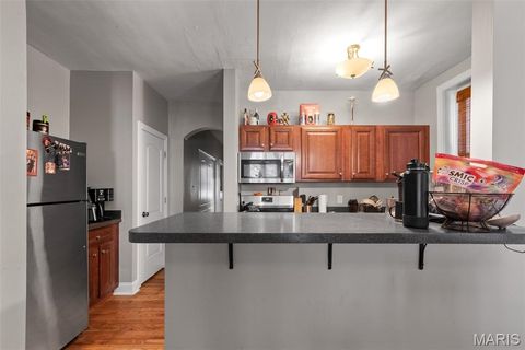 Tiny photo for 4242 Botanical Avenue, St Louis, MO 63110 (MLS # 26019005)