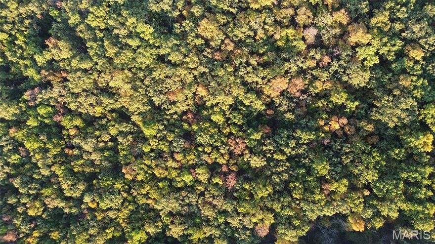 Don’t miss this opportunity to own a rare-find acreage lot inside Rolla city limits — combine nature, convenience and potential all in one place. Bring your plans and make it yours.  This rarely available tract offers over 5 acres of land is just inside the city limits of Rolla — and provides a perfect combination of convenient location that keeps in touch with nature. This property is on the edge of the city limits, allowing access to municipal utilities (city water/sewer/electric). Whether you envision a custom home tucked into the trees, a peaceful getaway, or just a large-lot site to spread out, this parcel gives you the acreage without sacrificing access.