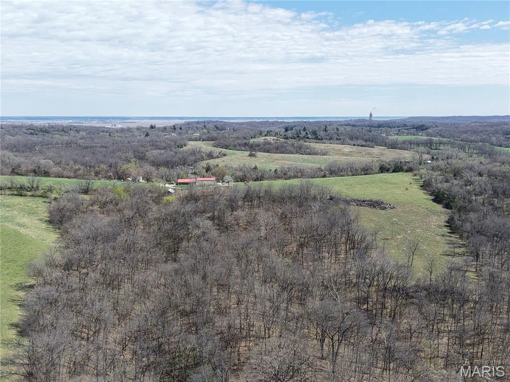 Photo of 1806 Robinson Ave, Hannibal, MO 63401 (MLS # 26020445)