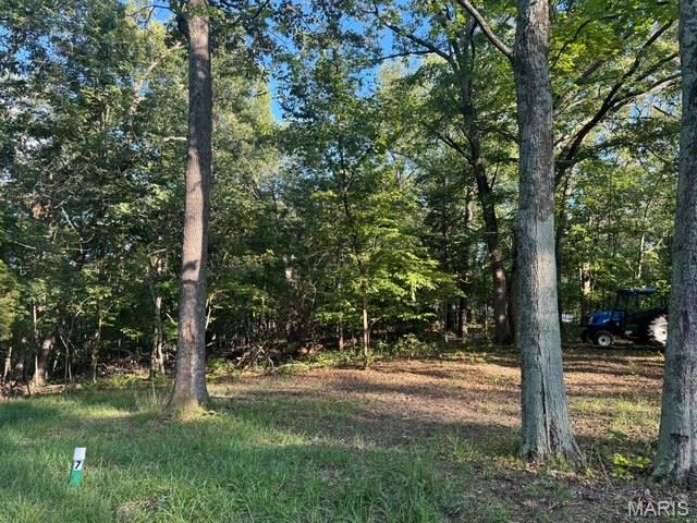 180 Steeple Point Dr. Lot #7 Drive