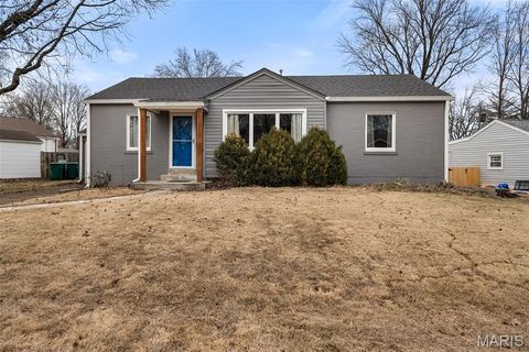 55 W Drake Avenue Webster Groves MO 63119