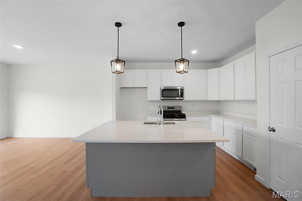 3300 Back Lane Court 51 STB