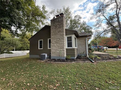 Tiny photo for 218 Taylor Ave, Farmington, MO 63640 (MLS # 25069411)
