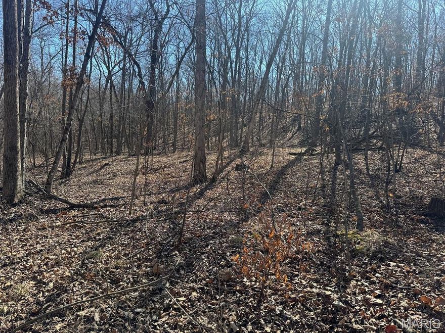 This 18± acre wooded tract is located near Mark Twain Lake and offers several potential building sites tucked into a private setting. The timber provides good cover and a natural feel that works well for a home or cabin.  The property also sets well for hunting, with enough acreage and habitat to hold deer and other wildlife. Whether you’re looking to build, hunt, or have a place to get away near the lake, this tract checks a lot of boxes.  Additional acreage is available.