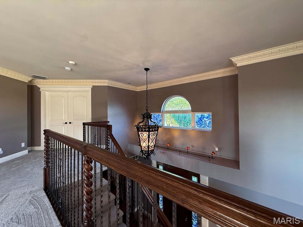 Morgans Meadow - Residential