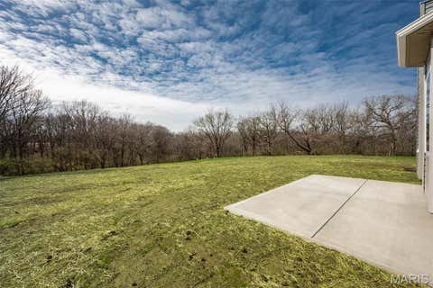 Tiny photo for 171 Sydnorville, Troy, MO 63379 (MLS # 26051326)