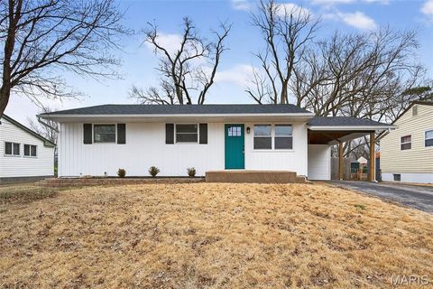 695 Mullanphy Road Florissant MO 63031