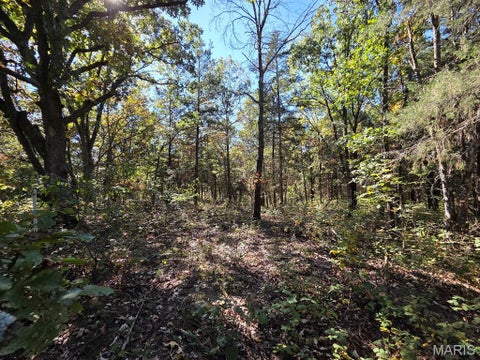 Tiny photo for 0 St. Patrick Avenue, Canton, MO 63435 (MLS # 26068052)