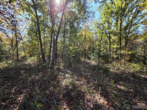 Tiny photo for 0 St. Patrick Avenue, Canton, MO 63435 (MLS # 26068052)