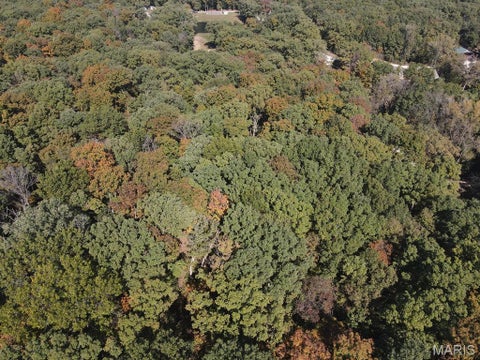 Tiny photo for 0 St. Patrick Avenue, Canton, MO 63435 (MLS # 26068052)
