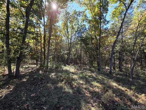 Tiny photo for 0 St. Patrick Avenue, Canton, MO 63435 (MLS # 26068052)