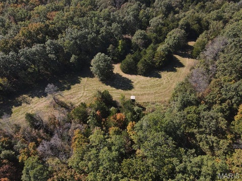 Tiny photo for 0 St. Patrick Avenue, Canton, MO 63435 (MLS # 26068052)