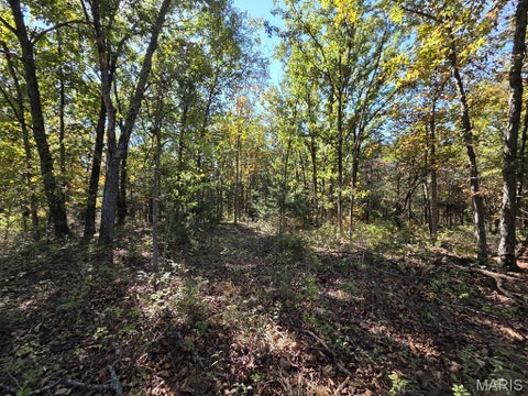 Tiny photo for 0 St. Patrick Avenue, Canton, MO 63435 (MLS # 26068052)
