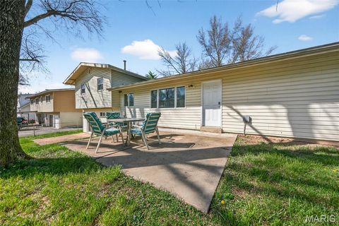 Tiny photo for 1226 Cottagemill Drive, Manchester, MO 63021 (MLS # 26017390)