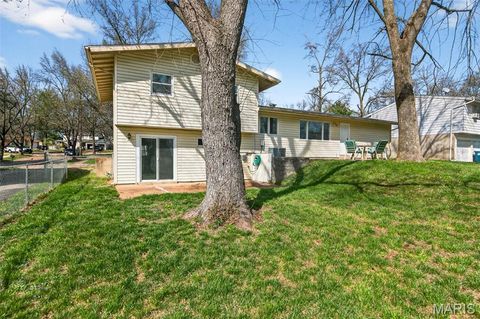 Tiny photo for 1226 Cottagemill Drive, Manchester, MO 63021 (MLS # 26017390)