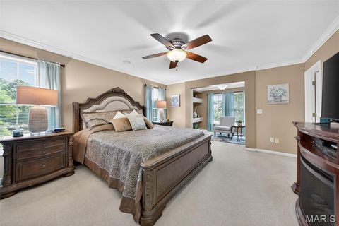 Tiny photo for 123 Townview Drive, Wentzville, MO 63385 (MLS # 26003045)