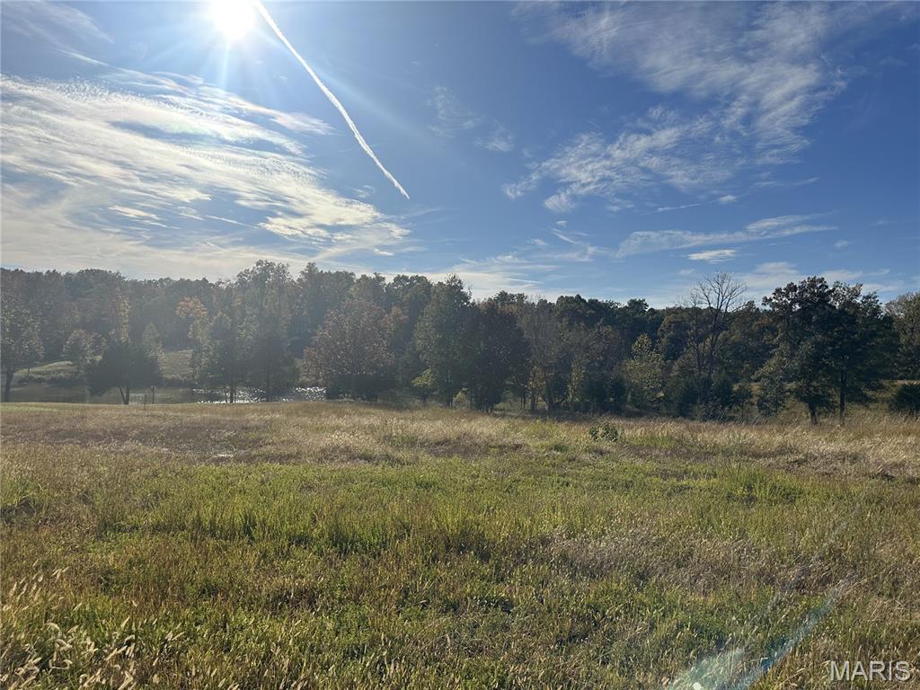 Saddlebrooke Ridge - Land