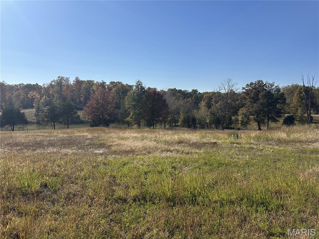 Saddlebrooke Ridge - Land