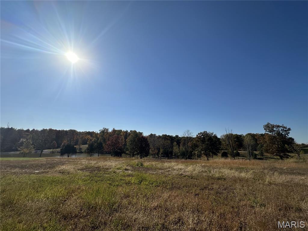 Saddlebrooke Ridge - Land