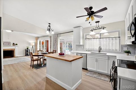 Tiny photo for 833 Twosome Court, Ballwin, MO 63011 (MLS # 25070348)