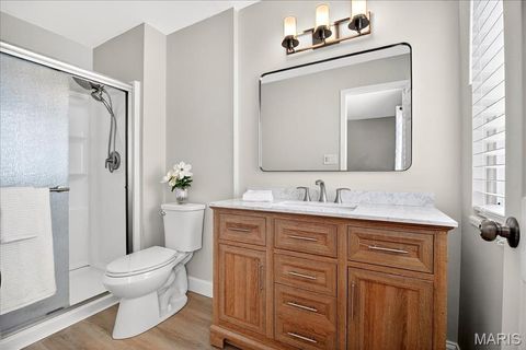 Tiny photo for 833 Twosome Court, Ballwin, MO 63011 (MLS # 25070348)