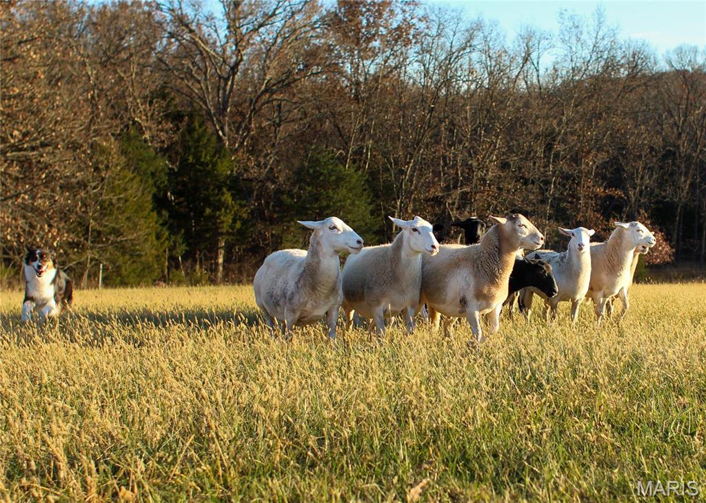 Not in a Subdivision - Farm