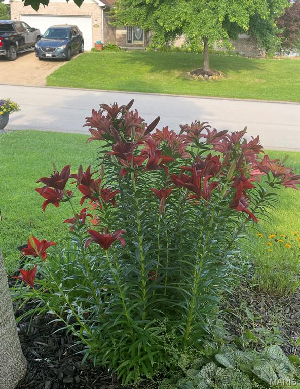 St. Andrews - Residential