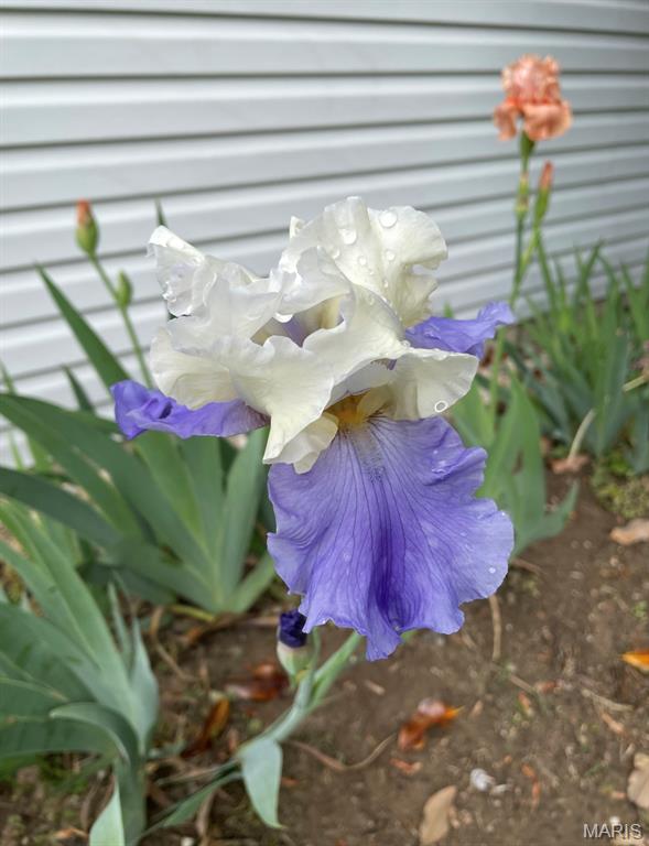 St. Andrews - Residential