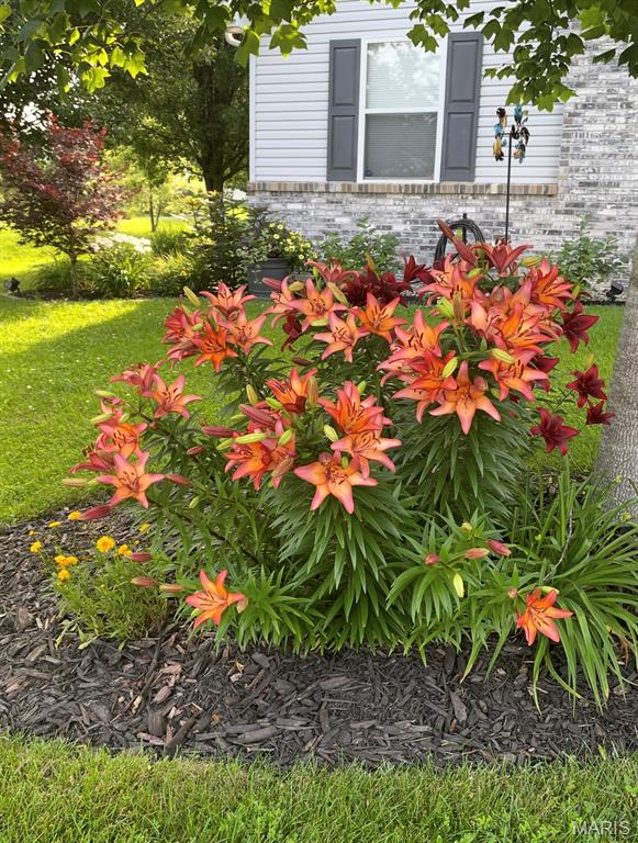 St. Andrews - Residential