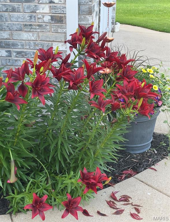 St. Andrews - Residential