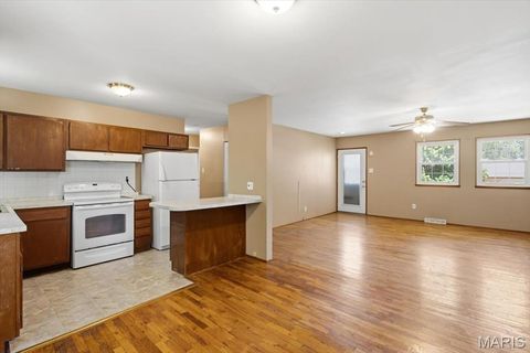 Tiny photo for 9745 Radio Drive, St Louis, MO 63123 (MLS # 26030888)